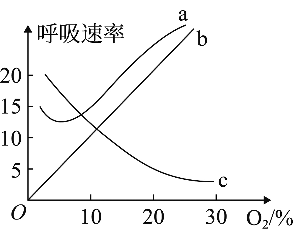 醋酸菌呼吸图片