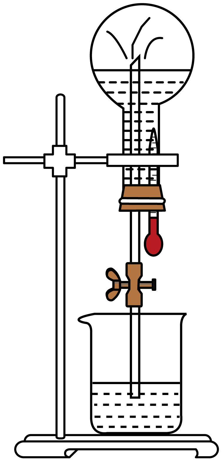 实验:如图所示,干燥的烧瓶中充满氨,打开弹簧夹,将