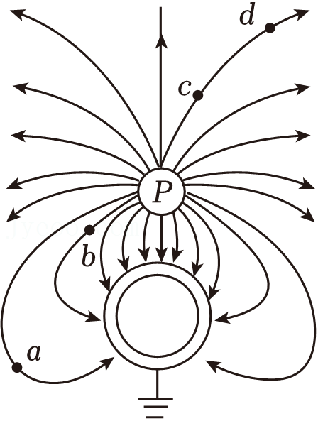 常见电场线分布图图片
