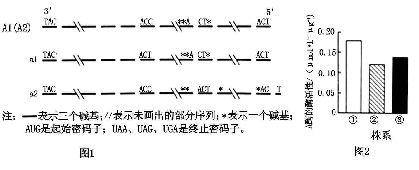 “倒伏”是指直立生长的作物成片发生歪斜,甚至全株匍-高途