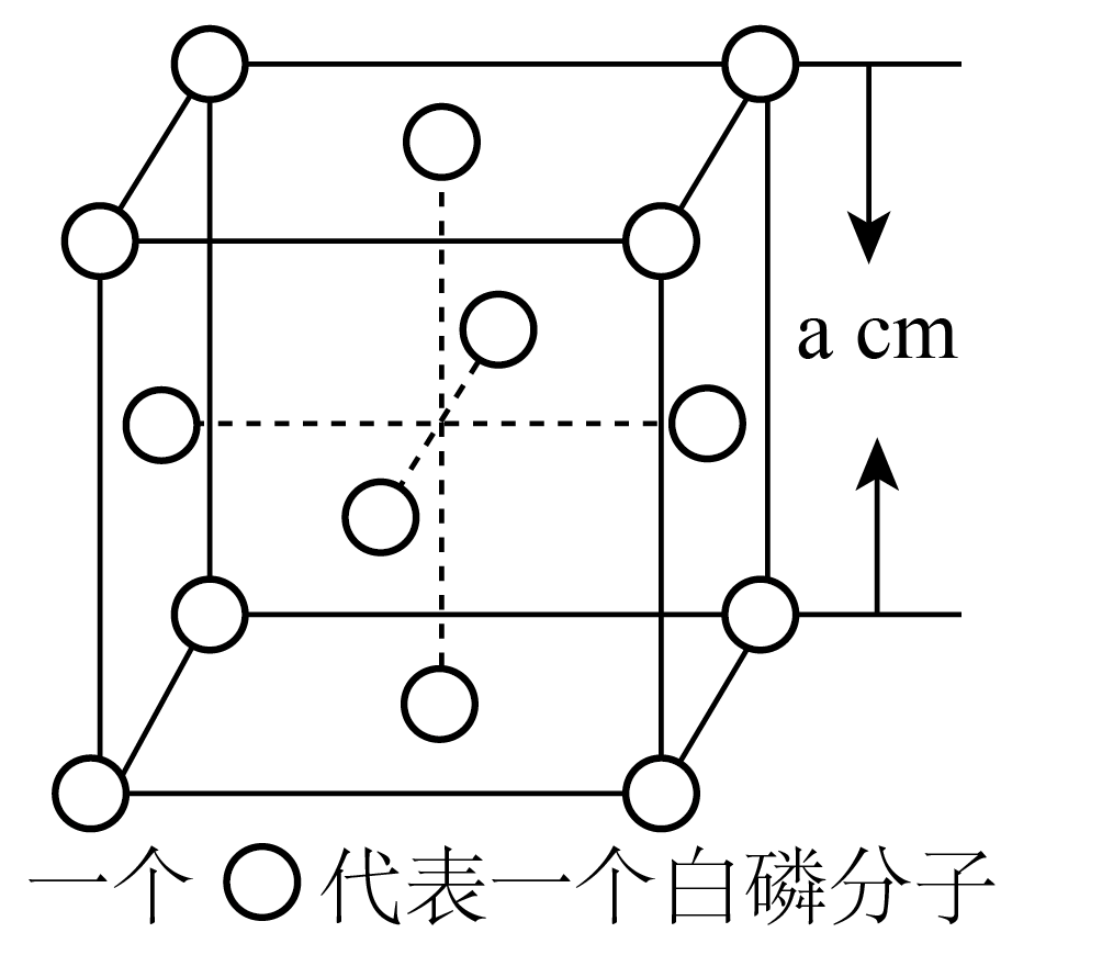 磷是生命元素