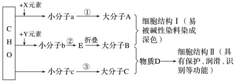 下图、、、表示生物大分子,请分析推断并回答有关问题-高途